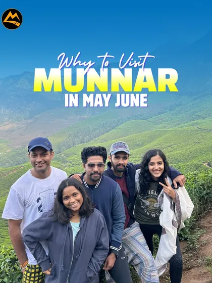 Why visit Munnar? For the endless tea gardens and pleasant weather. I plan group trips that let you experience this green paradise.