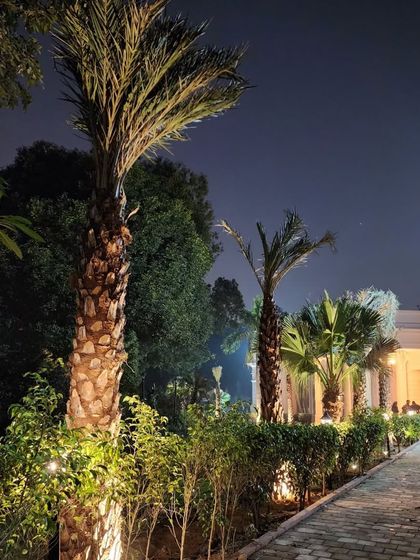 Delhi Gardner - Full-Service Landscaping Large-Scale Landscaping: Commercial & Residential Projects photo 40