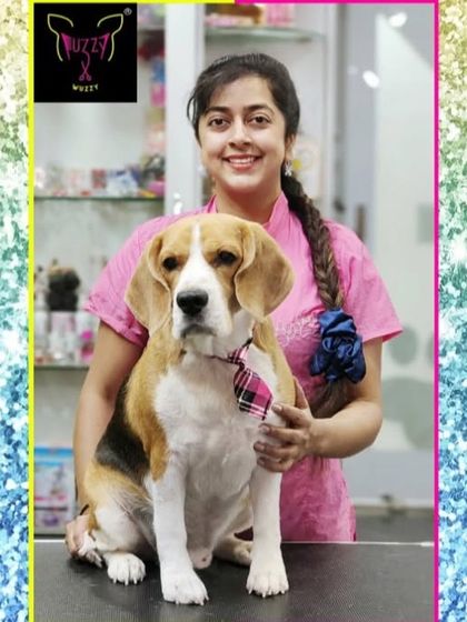 Fuzzy Wuzzy - Pet Grooming & Spa Spaniels, Retrievers & Large Breed Grooming photo 58