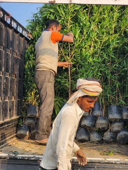 Delhi Gardner - Full-Service Landscaping Our Process: From Concept to Creation photo 13