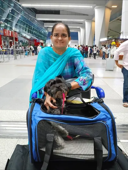 Daisy and her mom at the airport in Delhi, all set for their in-cabin journey to Vancouver. I provide airline-approved soft carriers that are safe and comfortable for small pets.