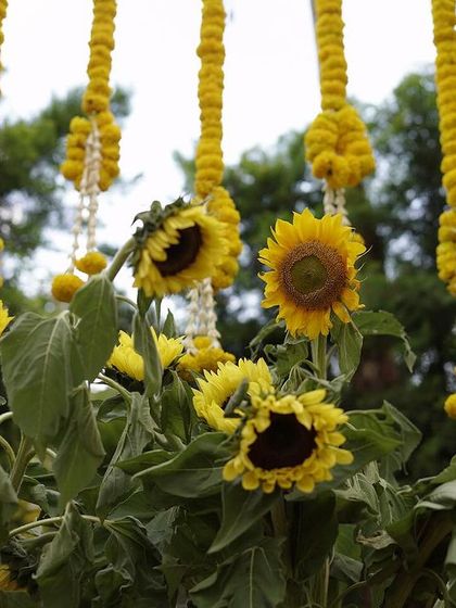 Wedding Stories - Event Design & Decor Vibrant Haldi Ceremonies photo 8