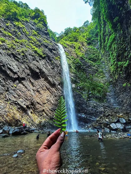 A creative shot holding a fern leaf in front of the waterfall, connecting the small details of nature with the grand landscape.