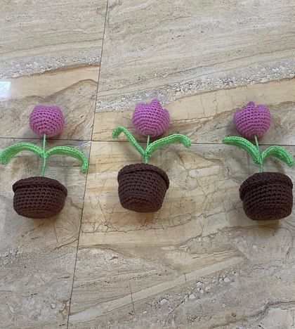 Bulk Orders for Events photo 9