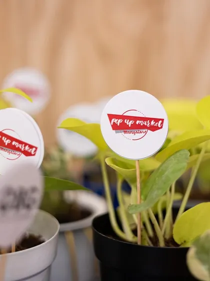 A close-up of our plant gifts for a pop-up market. We can add branding for corporate events, making it a unique and green promotional item.