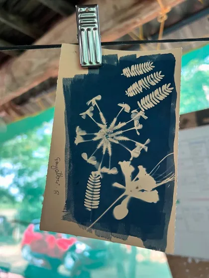 A beautiful botanical cyanotype print created during our community workshop. The children learned the Kannada names for the plants they gathered to create their art.