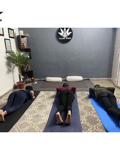 Students holding a low plank variation, building upper body and core strength. My classes cater to all levels, with modifications available for everyone.