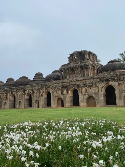 The Elephant Stables in Hampi, especially beautiful with wildflowers in bloom. These grand structures are a reminder of the Vijayanagara Empire's pride.