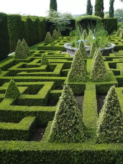 Neo Roots Design - Landscape Design & Execution Garden Styles & Plant Selections photo 5