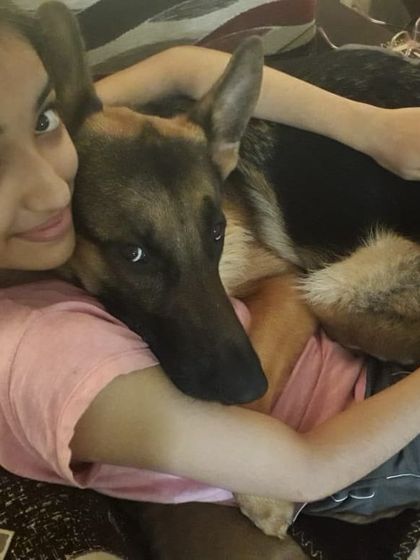 Sometimes he just wants to be a lap dog while we watch TV. These quiet moments of connection are what it's all about.
