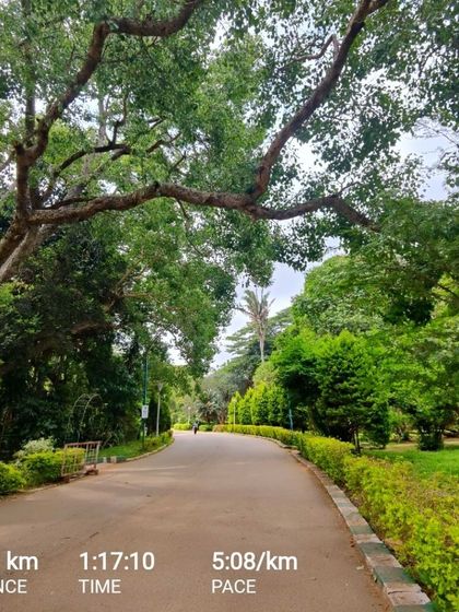 The Journey Within: My Story photo 6