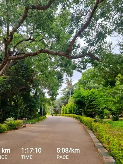 "Those who look out there, dream. Those who look inside, awaken." Running in the quiet morning hours in Lalbagh gives me time for this inner work, to reinforce my values and grow as a person beyond just being a cricketer.