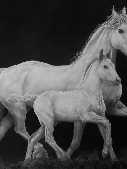 This large 5.5 by 3.5 foot charcoal drawing, 'Equine Companions', captures the dynamic motion of a mare and her foal galloping together. The composition is designed to convey a sense of energy and connection.