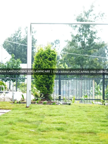 A simple, modern metal frame for a swing is set in this spacious lawn, flanked by conical evergreen trees.