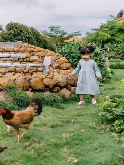 A little girl chasing a chicken at a farm. Farm photoshoots are always an adventure and full of unpredictable, fun moments.