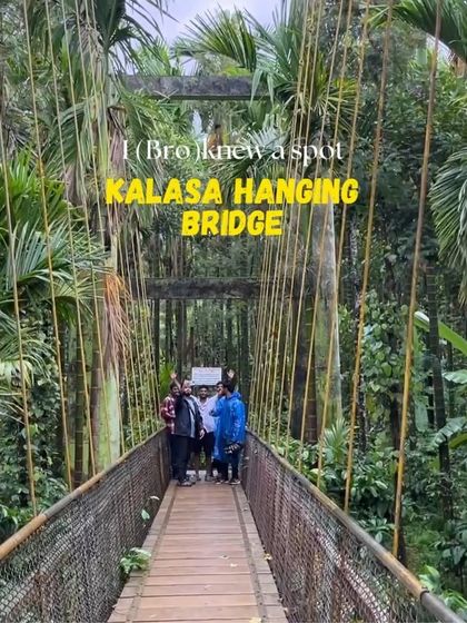 The Kalasa hanging bridge, a thrilling walk amidst dense greenery on our Kudremukha trip.