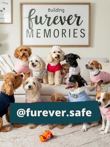 Furever Safe - Pet Boarding & Day Care Additional Guest Diaries photo 20