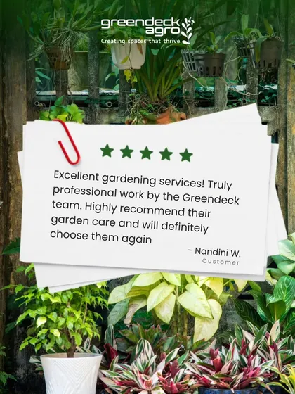 We are proud of the feedback we receive from our clients. This 5 star review from Nandini reflects the professional work and dedication our team brings to every garden.