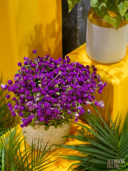 A beautiful bunch of purple Gomphrena flowers in a wicker basket, set against a bright yellow backdrop. This small detail adds texture and a rich jewel tone to the color palette.