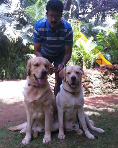 Young Handler Training