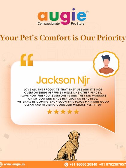 Augie Pets - Pet Grooming Services Words from Our Pawsome Community photo 4