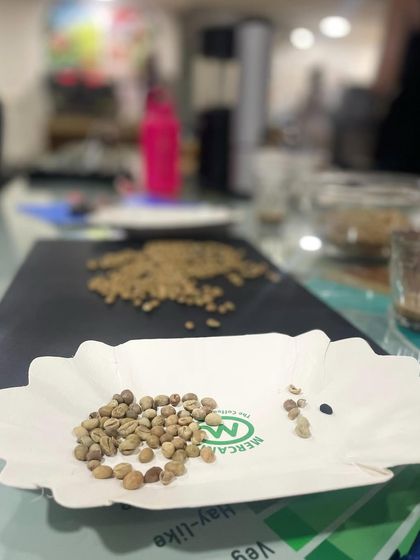 Our training includes hands-on sensory analysis, starting with the green beans. Understanding the raw product is the first step to a great roast.