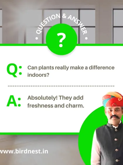 Indoor plants are more than just decoration. They are a simple but effective way to improve air quality, reduce stress, and add a touch of natural freshness and charm to any office, salon, or retail environment.