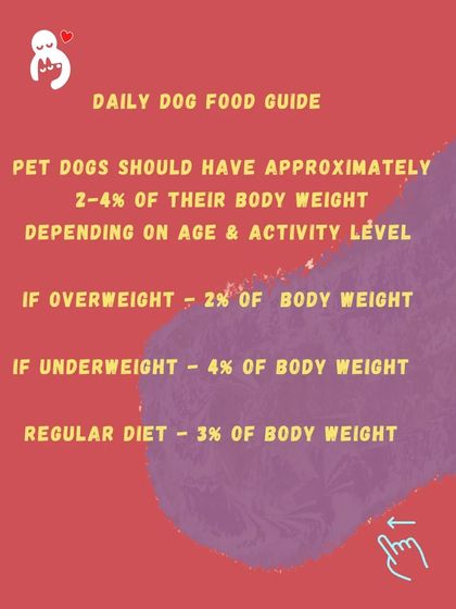 Hungry Eyes - Freshly Cooked Dog Meals Empowering Pet Parents photo 24