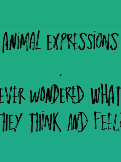 Animal expressions are a fun way to learn about conveying feelings in art. We explore what animals might think and feel and how to show that in a drawing.
