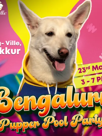We love hosting big community events. This vibrant poster for the Bengaluru Pupper Pool Party, in collaboration with Pet Fed, shows the exciting, large-scale celebrations we organize, bringing the city's pet-loving community together.
