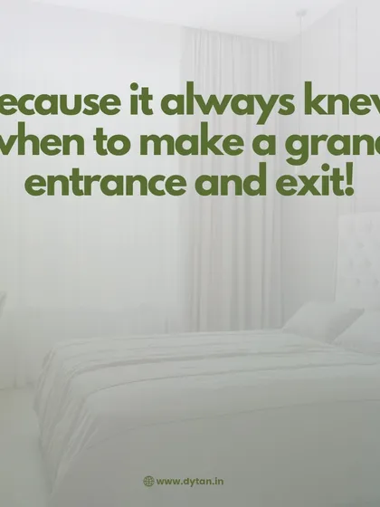 My smart curtain solutions know when to make a grand entrance and exit. They provide the perfect balance of light and privacy, enhancing the elegance of your bedroom.