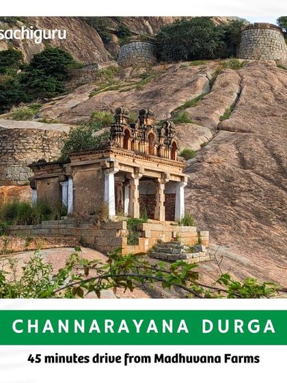 Just a 45-minute drive from Madhuvana Farms is the Channarayana Durga, a historical hill fortress that offers an adventurous trek and panoramic views.