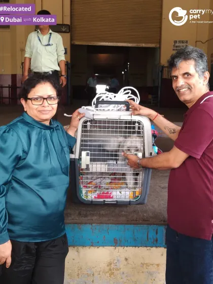 Another successful international relocation. Teddy's family welcomes him at the cargo terminal in Kolkata after his flight from Dubai.