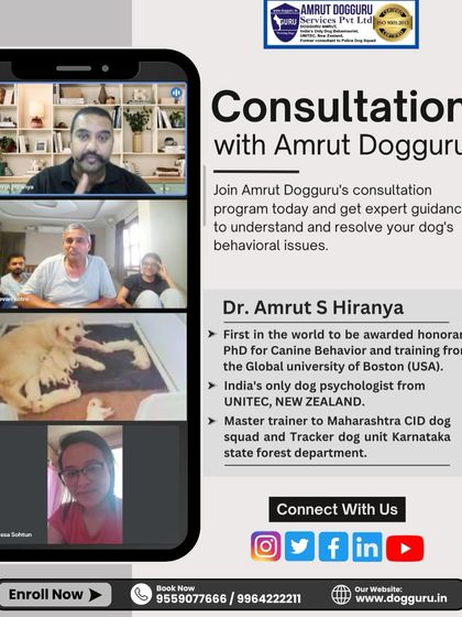 Dog Guru - Dog Behavior & Owner Consultation My Process: Online Consultations photo 3