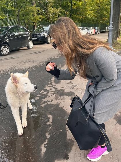 Making a new friend in Poland. I'm a huge animal lover, and moments like these are always a highlight of my travels.