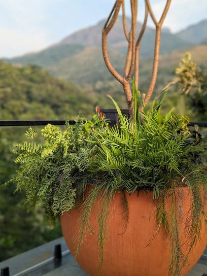 Luxe Green Styling: Homes, Offices & Events photo 27