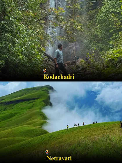 Choose your adventure: the waterfall-rich Kodachadri trek or the stunning grasslands of the Netravati peak trek. Both are incredible monsoon experiences.