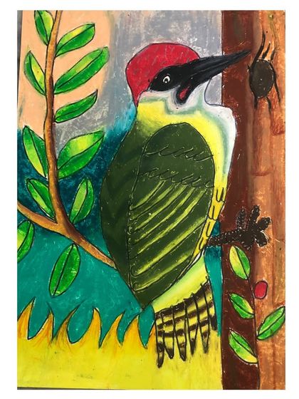 A close-up of a woodpecker drawing done with oil pastels, showing rich colour and texture. This piece highlights the student's skill in blending and layering colours.