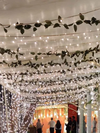 We created this enchanting walkway with a ceiling of fairy lights intertwined with green vines. This design element adds a touch of nature to a glamorous lighting setup.