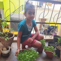 Multiplex Urban Green - Organic Gardening Supplies The Joy of Gardening: Our Community photo 11