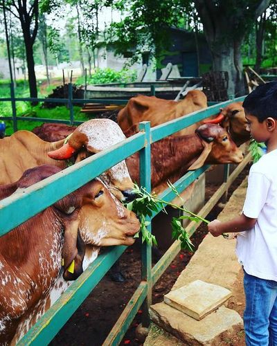 Farm Tours & Nature Walks