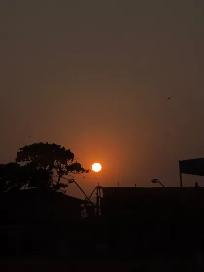A beautiful sunset over the park. This is where nature tells you to slow down and breathe, offering a moment of peace and calm at the end of a busy day.