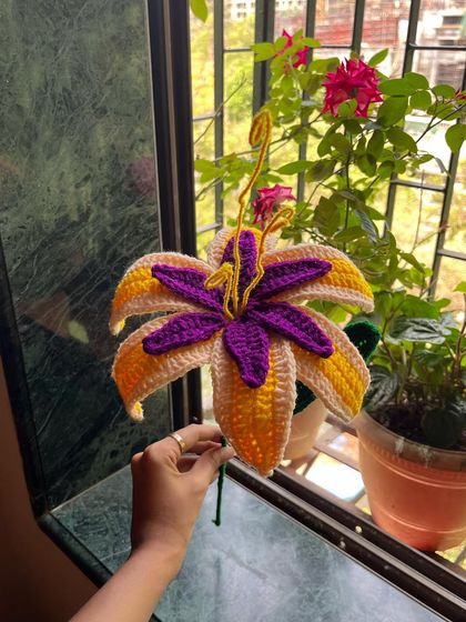 A still shot of our 'Tangled' flower, showing off its vibrant colors and unique shape by a window.