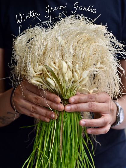 Winter brings beautiful produce like this fresh green garlic. We use it to make a vibrant pesto for our savoury puffs, adding a fresh, aromatic flavour.