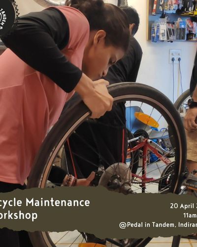 Custom Bike Builds & Servicing