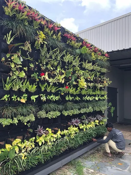 A vertical garden is like a living painting. Here, one of my dedicated team members tends to a large green wall, a testament to the daily nurturing that keeps these complex installations vibrant and healthy. This is the quiet force behind the glow.