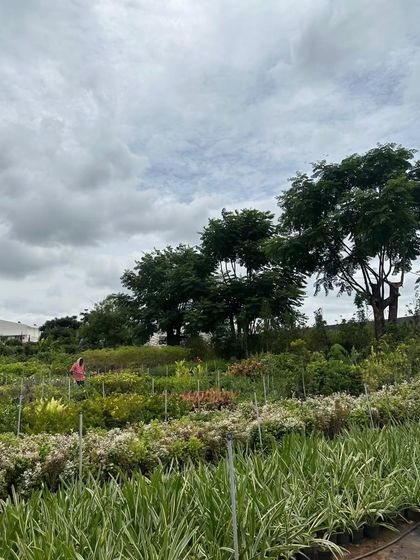 Our weekend goal is simple: shut down, look at green, and reboot. A wide view of our farm, where we cultivate rows upon rows of happiness for you to take home.