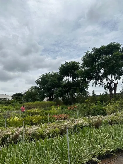 Our weekend goal is simple: shut down, look at green, and reboot. A wide view of our farm, where we cultivate rows upon rows of happiness for you to take home.