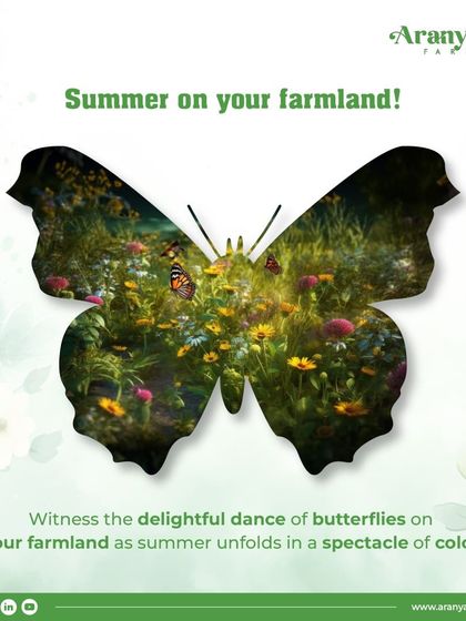 Summer on your farmland is a spectacle of color, with the delightful dance of butterflies unfolding before your eyes. Witness this beauty and make it a part of your life.