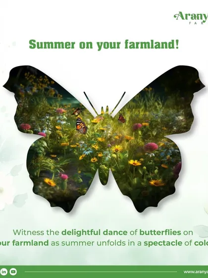 Summer on your farmland is a spectacle of color, with the delightful dance of butterflies unfolding before your eyes. Witness this beauty and make it a part of your life.